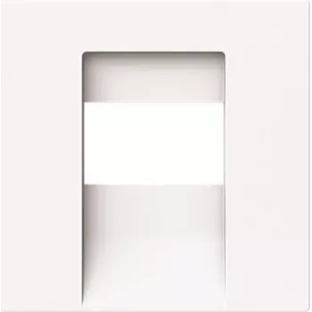 BUSCH-JAEGER 1766-44G centrālais vāciņa panelis TAE UAE USB HDMI (2CKA001710A4162)
