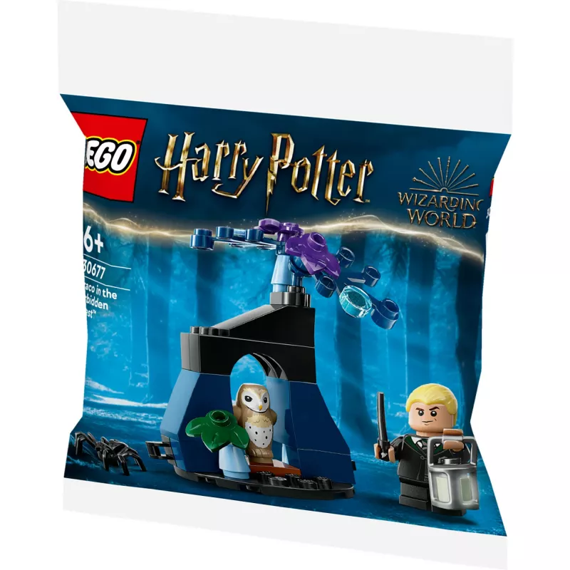LEGO Harry Potter konstruktora komplekts 30677 – Drako Aizliegtajā mežā minifigūras aina
