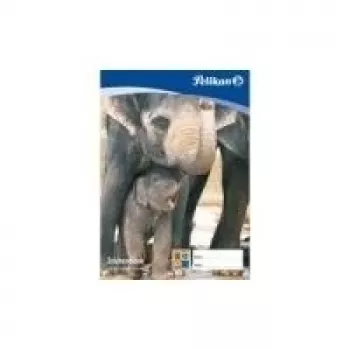 Pelikan Zeichenblock C 2-10, DIN A2, 100 g/m², 10 loksnes, bez hlora balināts, perforēts (137604)