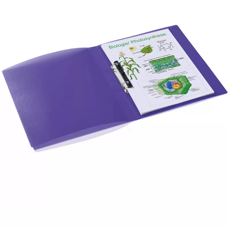 Gredzenu mape HERMA 19183 A4 Violeta