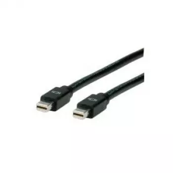 ROLINE DisplayPort kabelis, Mini DP ST - Mini DP ST 2,0m (11.04.5640)