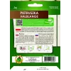 Apte Parsley Half-Long lente 6m — pētersīļu šķirne, vēlīna, augstražīga