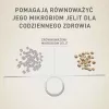 Sausā suņu barība Purina Nestle Mini Adult Beef & Rice 800 g — sausi grauzdiņi maziem pieaugušiem suņiem, 27% olbaltumvielu, 17% tauku