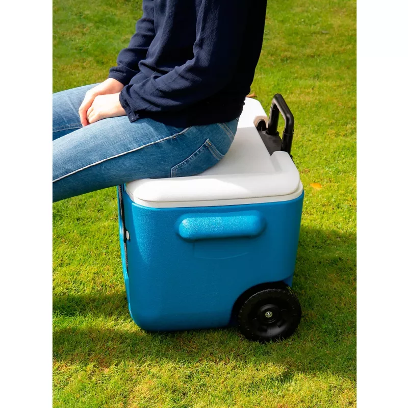 Coleman 2000036081 46 L zila