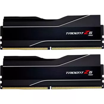 RAM modulis G.SKILL DDR5 64GB (2x32GB) 6000MHz CL30 288-pin DIMM 1.4V EXPO/XMP 3.0 ar heatsink
