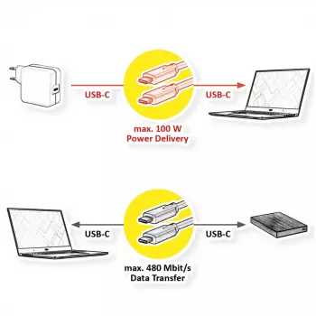 USB kabelis VALUE 11.99.8310 3 m USB C Melns USB 2.0