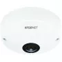 IP drošības kamera Hanwha QNF-8010 Dome 2048 x 2048 pikseļi