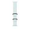 Apple 49mm Ice Zils Ocean Band - Melns Titanium Finish