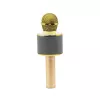Mikrofons MANTA MIC10-G Gold kardioīds pārnēsājams — kardioīds kondensatora tipa, rokas dizains