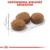 Sausā kaķu barība Royal Canin Sterilised 2 kg — sterilizētiem kaķiem, vista, 37% proteīns