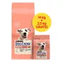 PURINA Dog Chow Sensitive Salmon - sausā suņu barība - 14 + 2,5kg