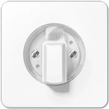 JUNG CD 1541 WW - balta - 1101-4 - 1101-20 - 11015 - 11120-20 - 1234,10 - 1234,20 - IP44