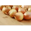 Wolska Onion Toraf dārzeņu sēklas, 5g iepakojums