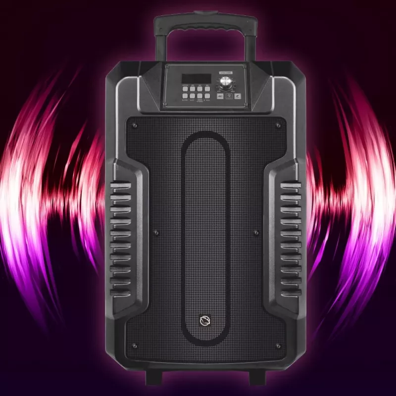 Skaļruņi Manta SPK1203B100 100W