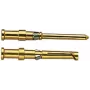 HART Crimp Contact Pin 0,5 mm² 09150006123 Gold-Plated 100 (09150006123)