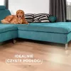 Vileda Always Clean PET PRO birste