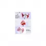 Laminator Pouch Olympia 1x100 DIN A5 125 micron