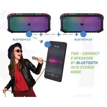 Bluetooth skaļrunis SoundVox 650, 10 W