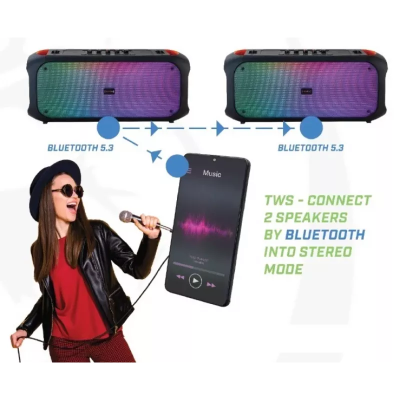 Bluetooth skaļrunis SoundVox 650, 10 W