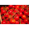 Bajaja Cherry Tomato Toraf dārzeņu sēklas, 0,3 g iepakojums