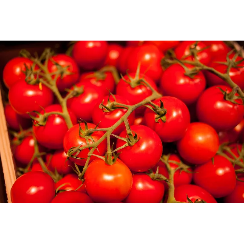 Bajaja Cherry Tomato Toraf dārzeņu sēklas, 0,3 g iepakojums