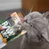 RAW PALEO Adult Cat Sterilised Turkey - mitrā kaķu barība - 100 g
