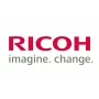 Dzeltenais attīstītājs priekš Ricoh D0899680/SPEC — aizvietotāja attīstītāja bloks, krāsa: dzeltena