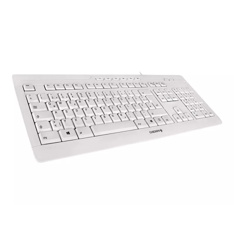 CHERRY STREAM 3.0 tastatūra Office USB Šveices pelēka