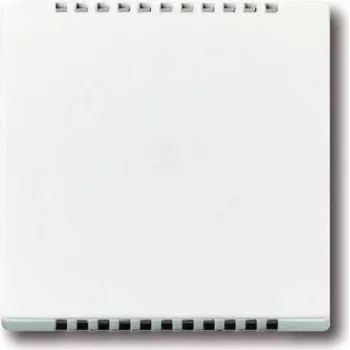 BUSCH JAEGER 6541-84 centrālais pārsegs dzesēšanas sekcijai f.UP rotācijas dimmerim Busch-Dimmer