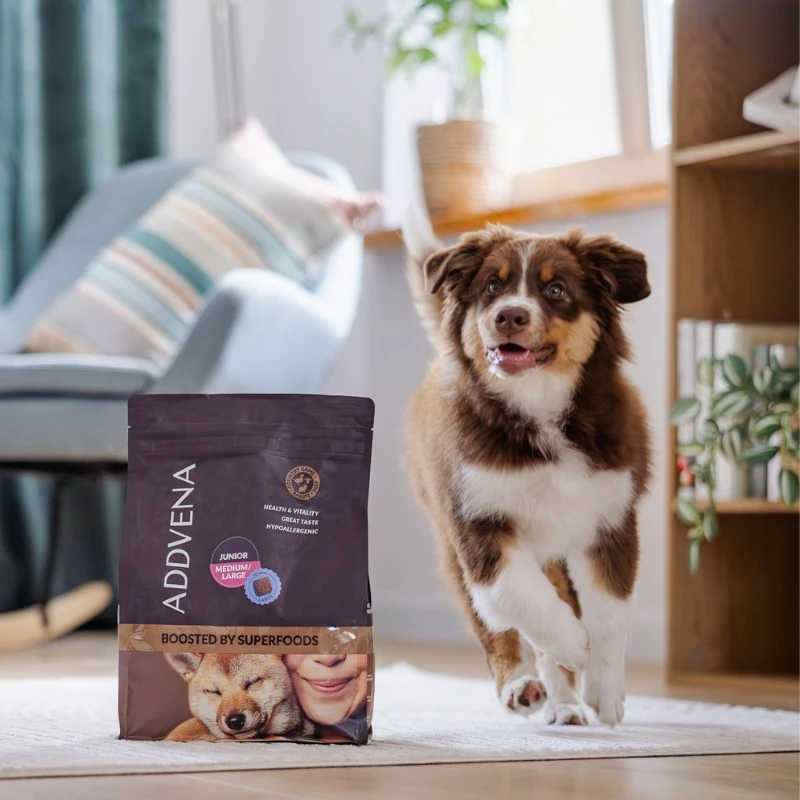 ADDVENA Boosted by superfoods Junior Medium/Large Beef - sausā suņu barība - 10kg
