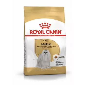 Sausā suņu barība Royal Canin Maltese Adult 1.5 kg — vista, 24% olbaltumvielu, 18% tauku