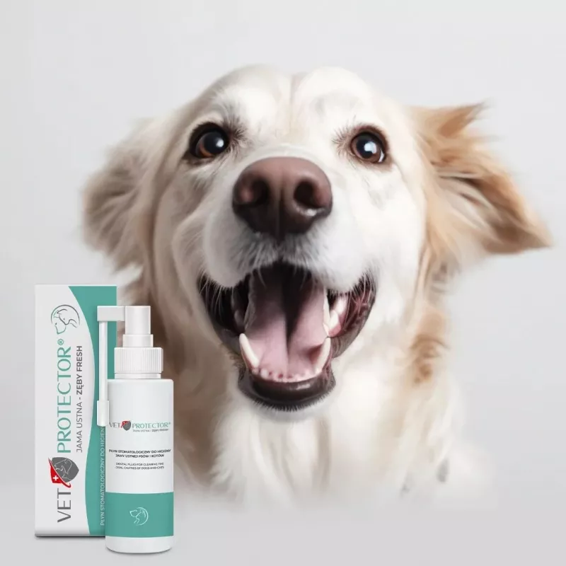 Mutes kopšanas šķīdums JM Sante Vet Protector Fresh 100 ml suņiem un kaķiem, zobakmens veidošanās novēršanai