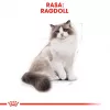 Sausā kaķu barība Royal Canin Ragdoll Adult 2 kg — vistas, 32% olbaltumvielu, 18% tauku