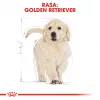 Royal Canin Golden Retriever Puppy sausā barība suņiem, 12 kg