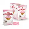Mitrā kaķu barība Royal Canin Kitten Gravy 85 g — mājputnu gaļa, 78% mitrums, 12% olbaltumvielas