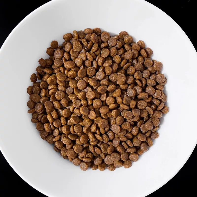 VET RESPONSE Gastrointestinal - sausā kaķu barība - 400g