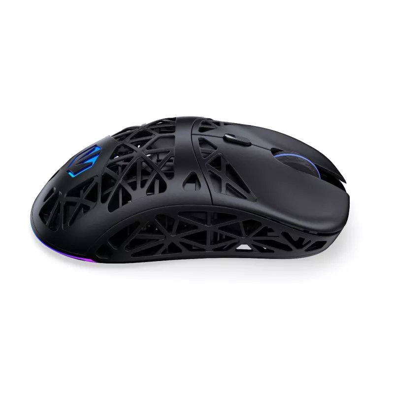 Pele ENDORFY EY6A016 Bluetooth