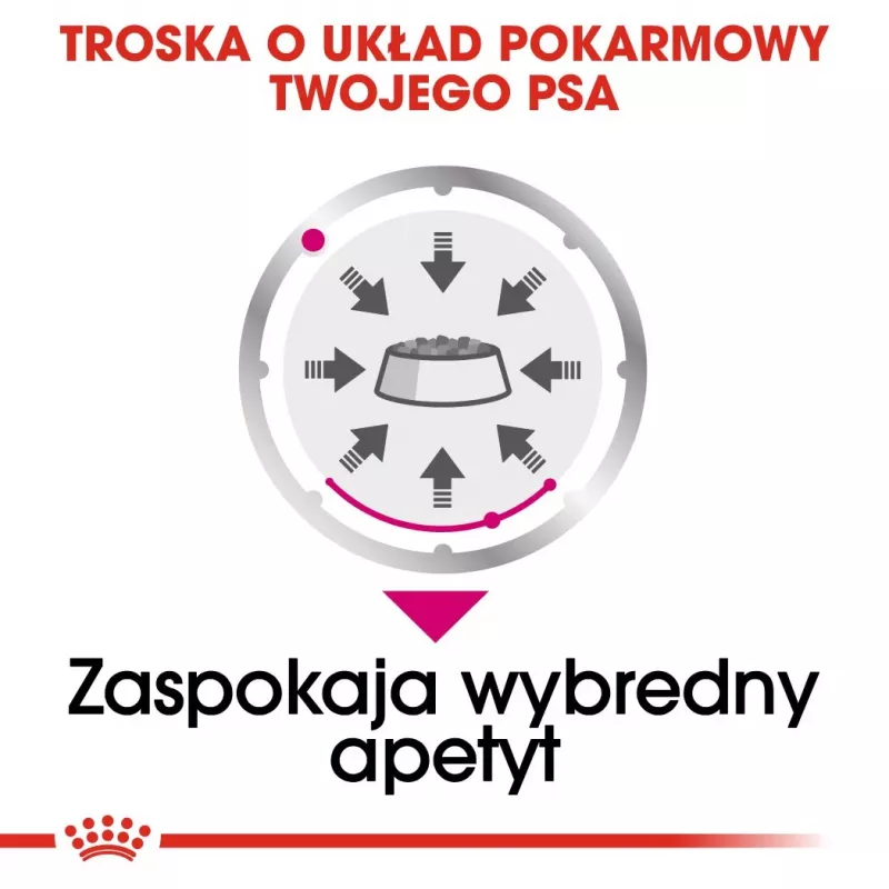 Mitrā suņu barība Royal Canin Exigent Meat Universal 12×85 g — mājputnu gaļa, pieaugušiem, izvēlīgiem suņiem