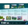 Ravensburger CreArt gleznošanas pēc cipariem komplekts Landhaus am Fluss (Lauku māja pie upes)