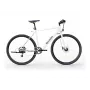 Sharp Gravel E-Bike 250W Motor App 70km balta glanz