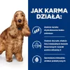 HILL's Prescription Diet Food Sensitivites z/d - sausā suņu barība - 10 kg