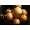 Wolska Onion Toraf dārzeņu sēklas, 5g iepakojums