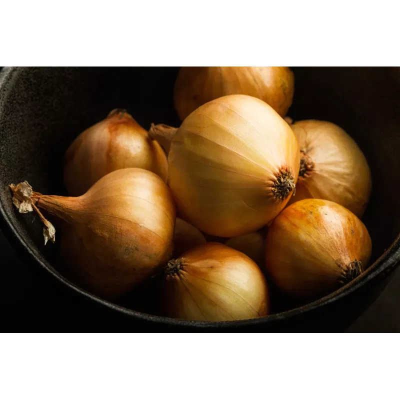 Wolska Onion Toraf dārzeņu sēklas, 5g iepakojums