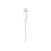 Apple USB-C uz Lightning kabelis (1 m)