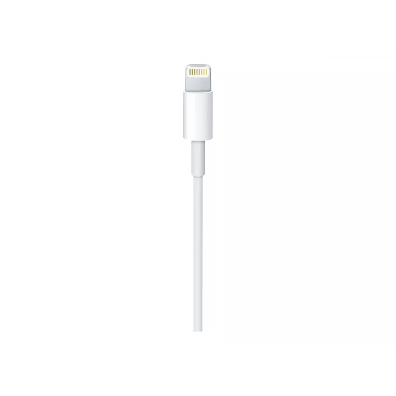 Apple USB-C uz Lightning kabelis (1 m)