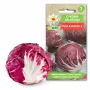 Lettuce Chicory Palla Rossa 3 Toraf dārzeņu sēklas, 5g iepakojums