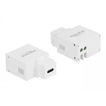 Keystone modulis USB Type-C uzlādes ports DeLOCK 87792