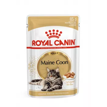 ROYAL CANIN FBN Maine Coon - Kaķu mitrā barība - paciņa 12x 85g