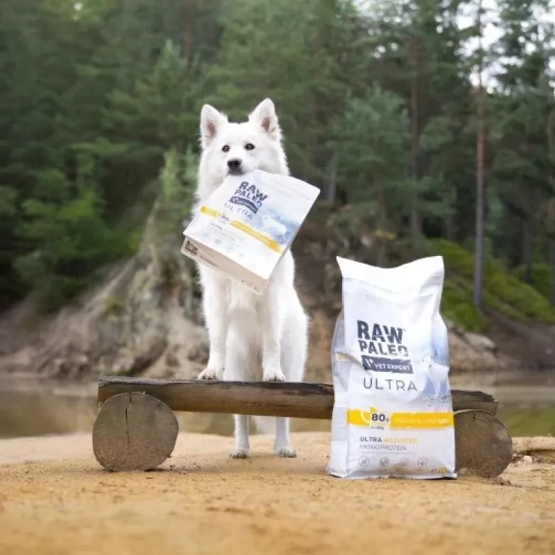 RAW PALEO Ultra Medium&Large Adult Turkey - sauso suņu barība - 10 kg