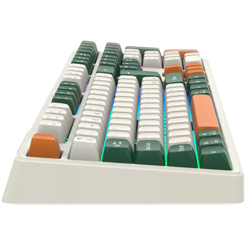Mehāniskā bezvadu tastatūra CANYON Shadder GKW-11 RGB balta